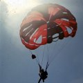 skydive still 257